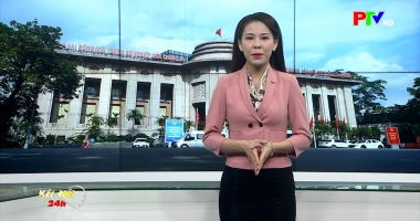 Kết nối 24h ngày 12-02-2026