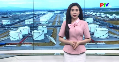 Kết nối 24h ngày 31-3-2026