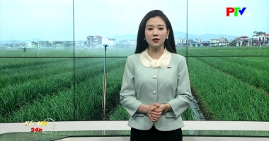 Kết nối 24 ngày 24-12-2025