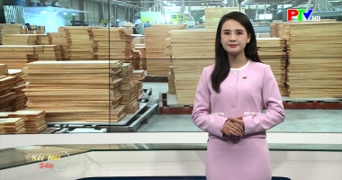 Kết nối 24 ngày 03-01-2026