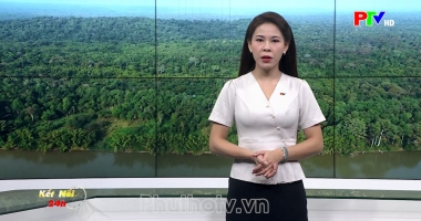 Kết nối 24h ngày 13-09-2026