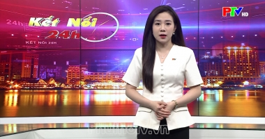 Kết nối 24h ngày 29-10-2026