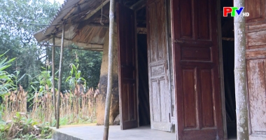 PTV kết nối yêu thương ngày 24-01-2026