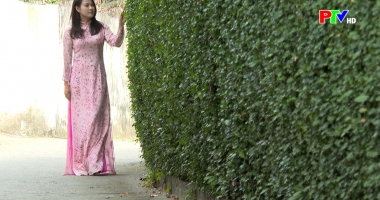 Khoảnh khắc cuộc sống: Giậu quê - nơi ký ức đứng chờ