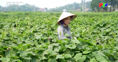 Khoảnh khắc cuộc sống - Màu xanh no ấm