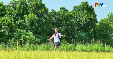 Khoảnh khắc cuộc sống - Mùa vàng quê hương