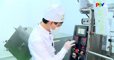 Khởi nghiệp sáng tạo: Sức trẻ vươn xa