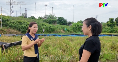Khởi nghiệp sáng tạo: Vươn ý chí nơi vùng cao