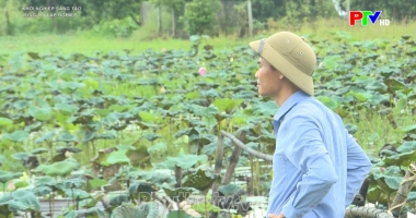 Khởi nghiệp sáng tạo: Vững tin lập nghiệp