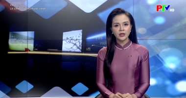 Phóng sự: Lá chắn số cho rừng xanh