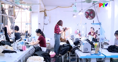 Lao động việc làm - Cơ hội việc làm cho lao động trung niên