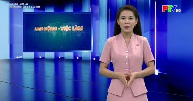 Lao động việc làm - Ổn định nhân lực cho sản xuất
