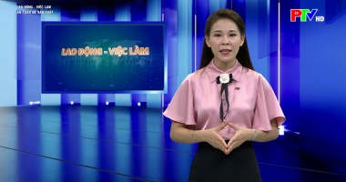 Lao động việc làm - An toàn để sản xuất