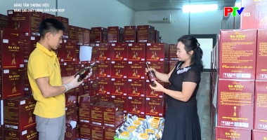 Nâng tầm thương hiệu - Nâng cao chất lượng sản phẩm OCOP