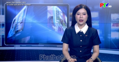 Nâng tầm thương hiệu - Từ vườn quê đến thị trường