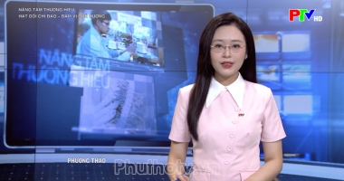 Nâng tầm thương hiệu: Hạt dổi Chí Đạo - Đậm vị quê hương