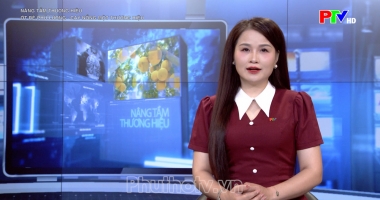 Nâng tầm thương hiệu: Ớt rẽ Phú Lương - Cay nồng một thương hiệu