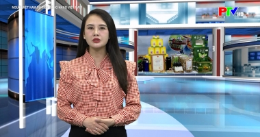 Người Việt Nam ưu tiên dùng hàng Việt Nam ngày 16-7-2026