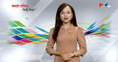 Nhịp sống thể thao ngày 28-06-2026