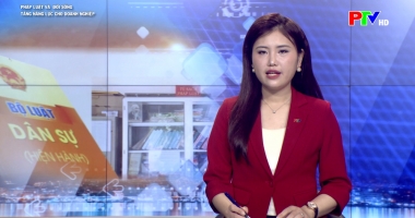 Pháp luật và đời sống –Tăng năng lực cho doanh nghiệp