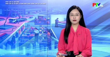 Pháp luật và đời sống – Pháp luật về xử phạt vi phạm hành chính trong lĩnh vực lao động