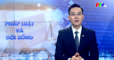 Pháp luật và đời sống: VneID - tiện ích số cho mọi người