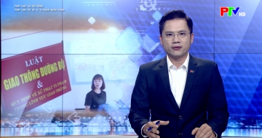 Pháp luật và đời sống: Pháp luật về xử lý vi phạm hành chính