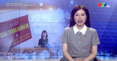 Pháp luật và đời sống: Hoàn thiện pháp luật thương mại điện tử