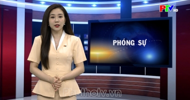 Phóng sự: Hợp tác xã - Mở hướng phát triển kinh tế vùng đồng bào dân tộc thiểu số