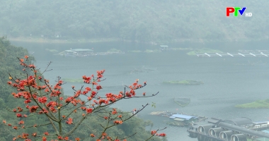 Phu Tho Culture Express - Digital transformation in tourism in Phu Tho province