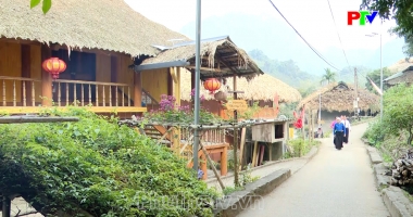 Phu Tho Culture Express - Preserving the soul of heritage promoting the value of histotical relics