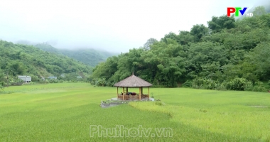 Phu Tho Culture Express - Turning culture into a driver of tourism development