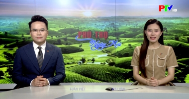Phú Thọ ngày mới ngày 15-06-2026
