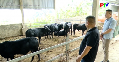 Phóng sự: Giảm nghèo bền vững, lời giải từ cơ sở