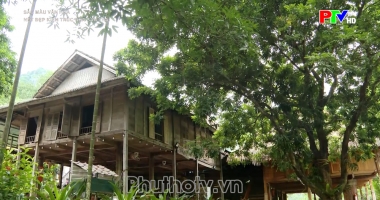 Sắc màu văn hóa - Nét đẹp kiến trúc nhà sàn Thái