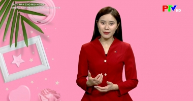 Sách hay - Những con mèo sau bức tường hoa