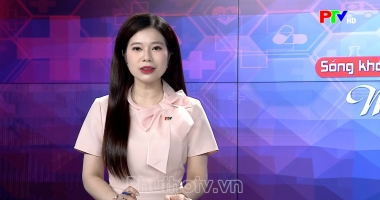 Sống khỏe mỗi ngày - Phẫu thuật nội soi vá lỗ thông liên nhĩ
