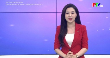 Sức khỏe cho mọi người: Tăng huyết áp ở người trẻ - những điều cần lưu ý