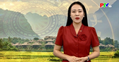 Tạp chí dân tộc miền núi và phát triển - Đẩy mạnh hỗ trợ liên kết sản xuất và tiêu thụ sản phẩm nông nghiệp