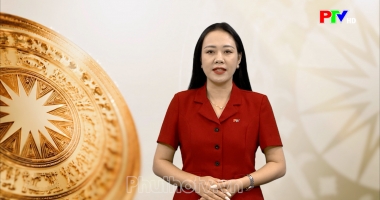 Tạp chí dân tộc, miền núi và phát triển - Phòng chống bệnh sốt xuất huyết