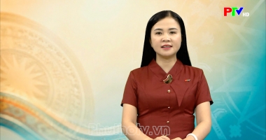 Tạp chí Dân tộc, miền núi và phát triển - Tổ liên kết "Chăn nuôi và tiêu thụ gà An Bình" Hướng đi mới cho phát triển kinh tế nông thôn