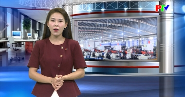 Tạp chí thông tin kinh tế: Nuôi nhím - hướng phát triển kinh tế mới