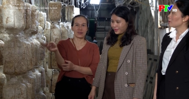 Thi đua yêu nước - Phụ nữ đất Tổ bứt phá từ đổi mới tư duy