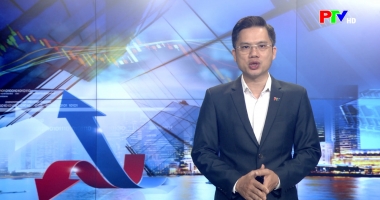 Thị trường tiêu dùng ngày 10-06-2026