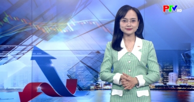 Thị trường tiêu dùng ngày 21-12-2025