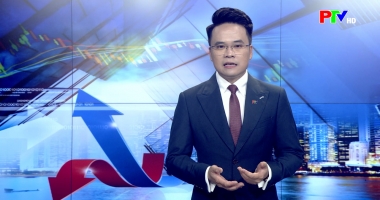 Thị trường tiêu dùng ngày 10-05-2026