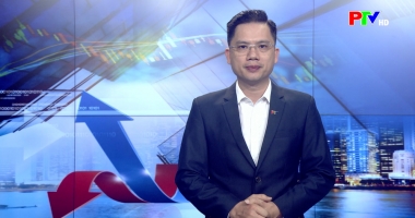 Thị trường tiêu dùng ngày 13-05-2026