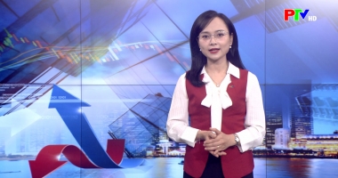 Thị trường tiêu dùng ngày 24-12-2025