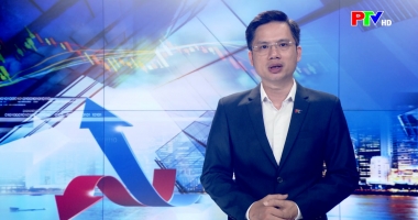 Thị trường tiêu dùng ngày 13-06-2026
