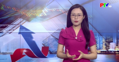 Thị trường tiêu dùng ngày 28-06-2026